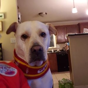 Meet your Posher, Brett